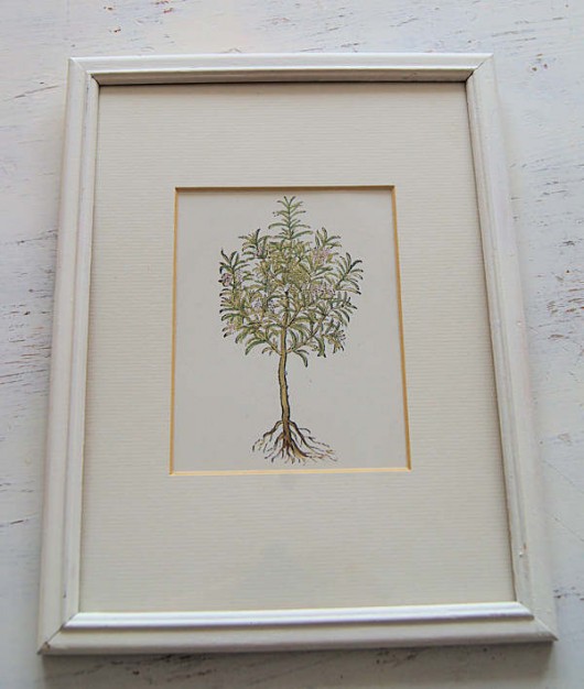obrazek vintage Galeria Belladonna