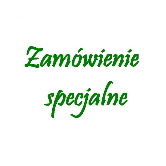 na fali - posrebrzane SHEandHE