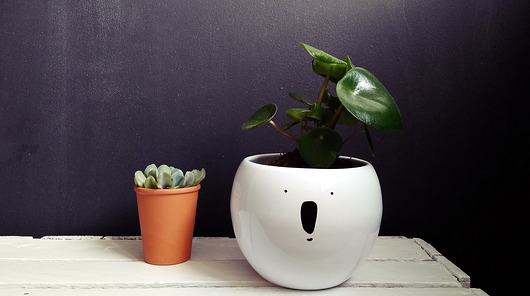 Doniczka kula - koala MUKI design