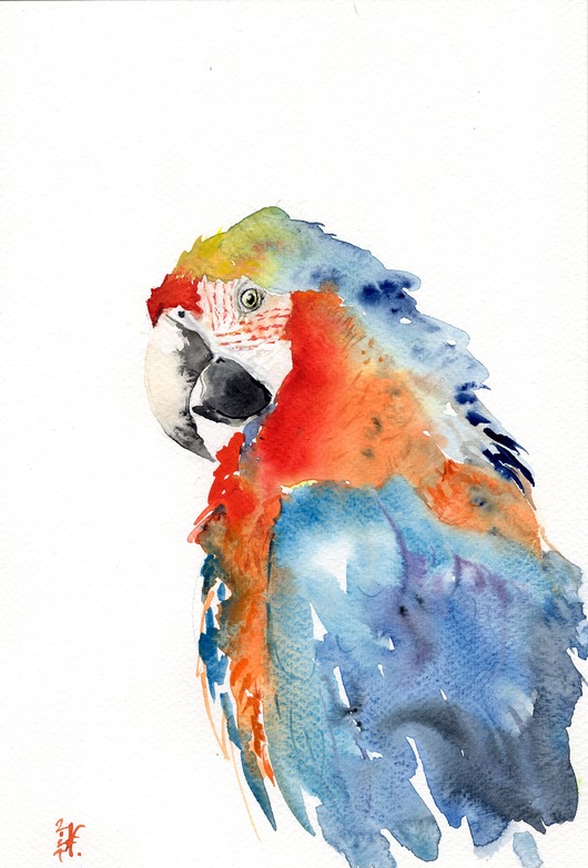 obrazy Oryginalna akwarela. Papuga