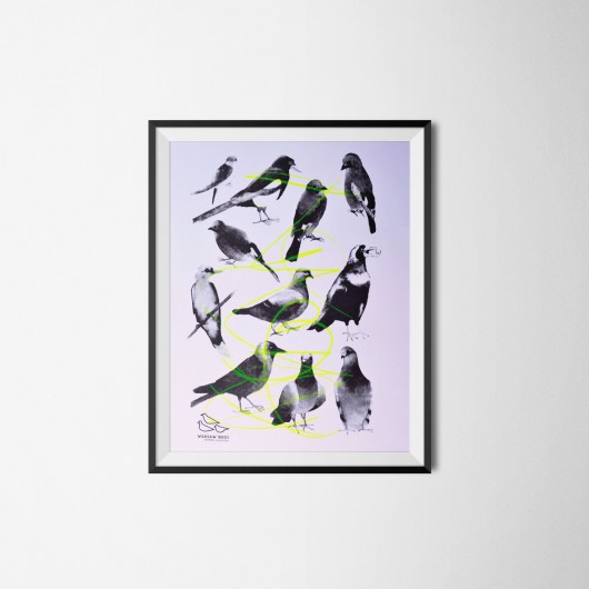 Ptaki. Serigrafia barwna. Warsaw Birds
