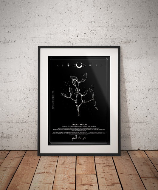 Poster Jemioła Plants of Magic