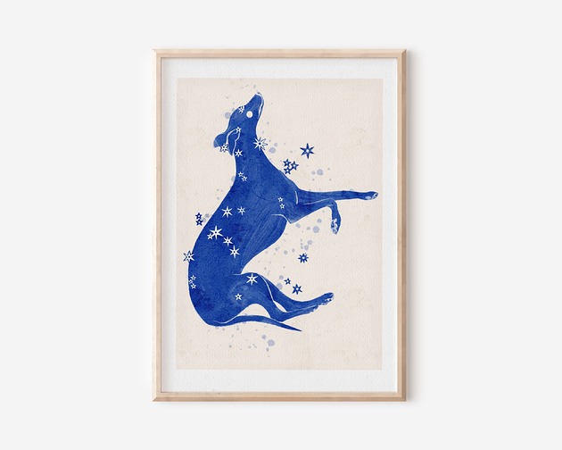 plakaty Plakat  - Konstelacja Wielki Pies -  CANIS  Major