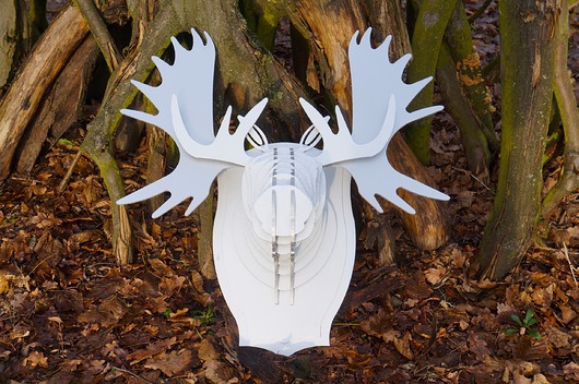 dodatki - różne Poroże łosia na ścianę, jelenia, łoś