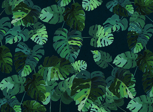 Monstera Deliciosa BOSKE