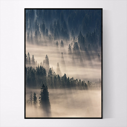 Plakat FOREST 50x70 cm MUKKO