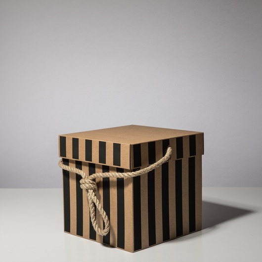 skrzynki, kufry i pudła Bag Box Torba tekturowa 22x22x22 cm pasy czarne