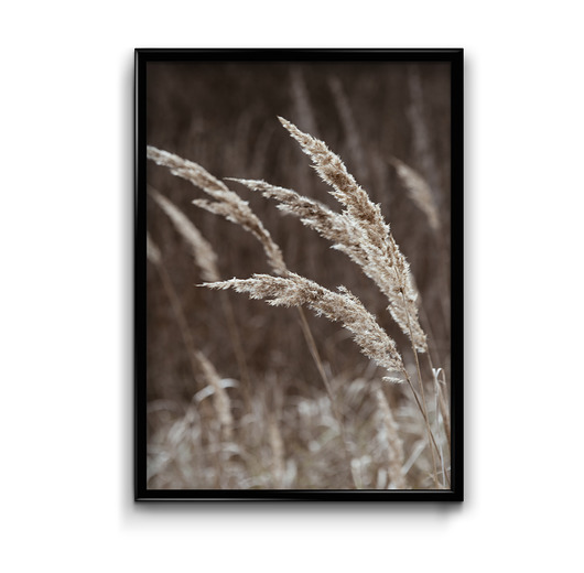 plakaty Plakat Trawy No.3