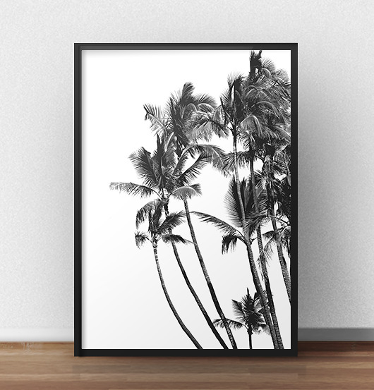 Plakat "Kalifornijskie palmy" - 30x40 scandiposter