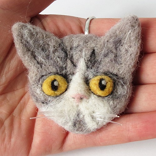 Kot perski tabby bikolor DoraHand
