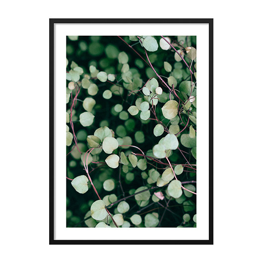 GREEN SMALL LEAVES, POSTER - Różne rozmiary mermer