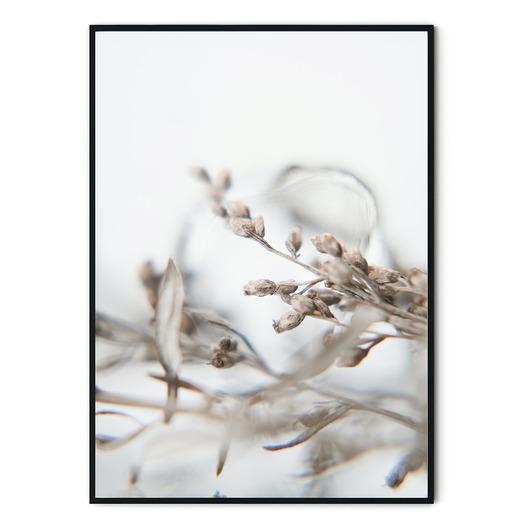 Plakat botaniczny Soft no. 1 myscandi