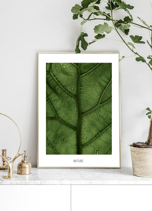 plakaty PLAKAT LIŚĆ z rośliną botaniczny Z LIŚCIEM