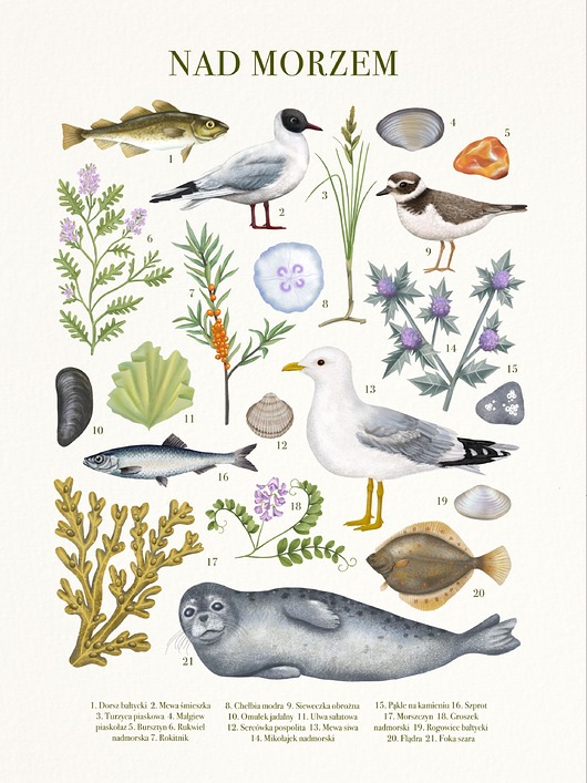 Plakat "Nad morzem" 30x40 cm Studio Stonka