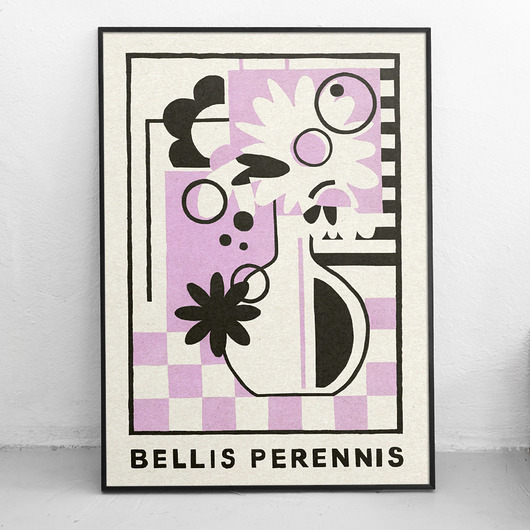 grafiki i ilustracje Bellis perennis