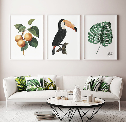 Zestaw Morela Tukan Monstera HOG STUDIO