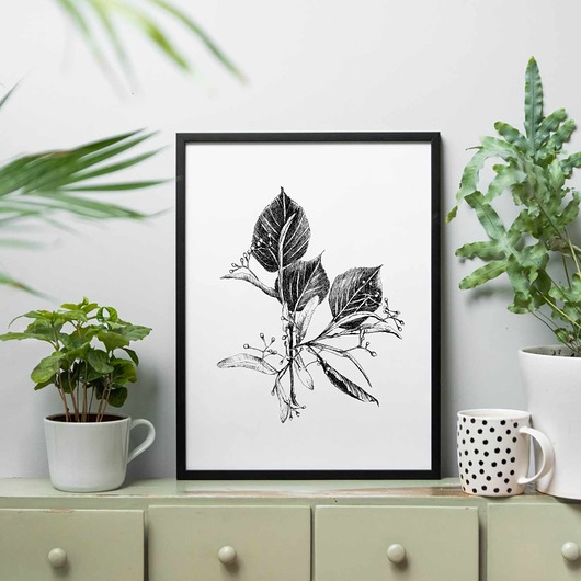 grafiki i ilustracje Lipa 30x40