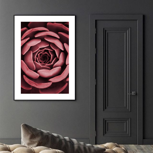PLAKAT botaniczny sukulent viva magenta black dot studio