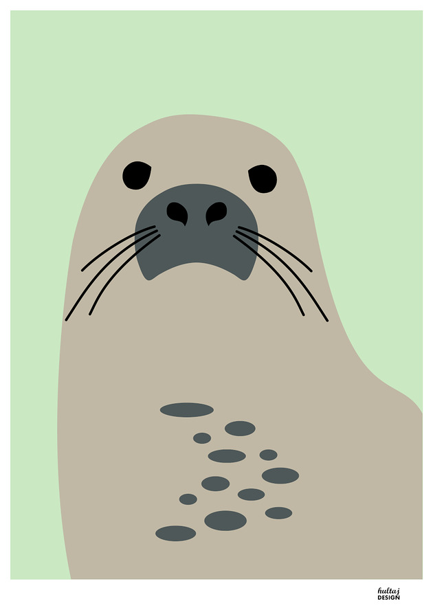 obrazy i plakaty do pokoju dziecięcego Pocztówka Foka seledynowa