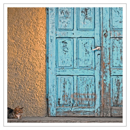 Ante portas Beata Podwysocka