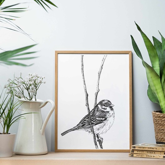 grafiki i ilustracje Wróbelek 30x40