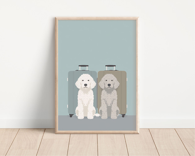 plakaty Plakat lagotto romagnolo