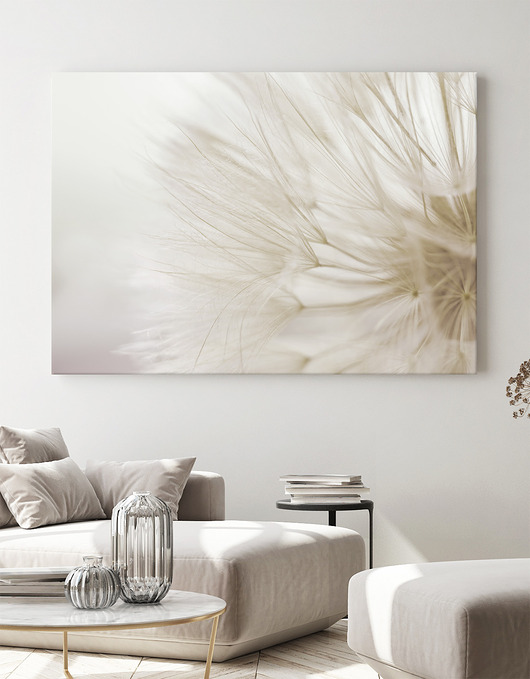 obrazy 100x70 cm Dmuchawiec w beżach na płótnie (1-0402)