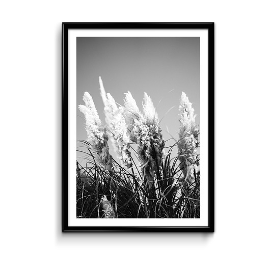 Trawa -  plakat Bury Lis