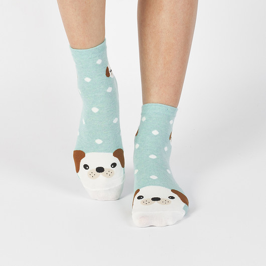 Psi pyszczek CandySox