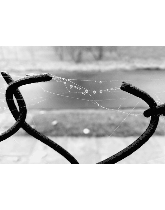 fotografia Fotografia pt.: 'Drop 5' czarno-biała, 50x70cm