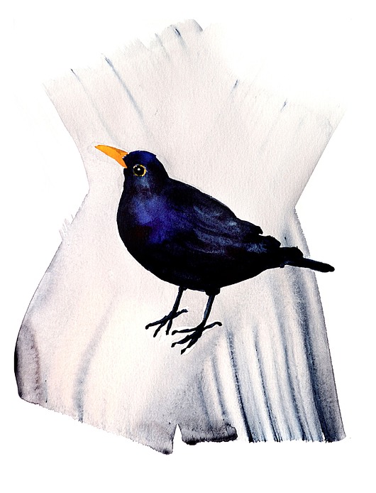 grafiki i ilustracje Plakat Kos