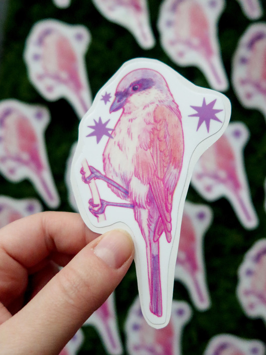 naklejki i wlepy Dzierzba gąsiorek / naklejka winylowa