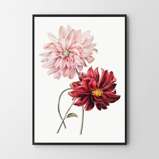 plakaty Kwiatowy plakat