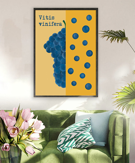 plakaty Plakat Winogrona - 50x70 cm fine art giclee