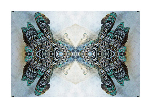 plakat 70x50 AGAT ED design for fun