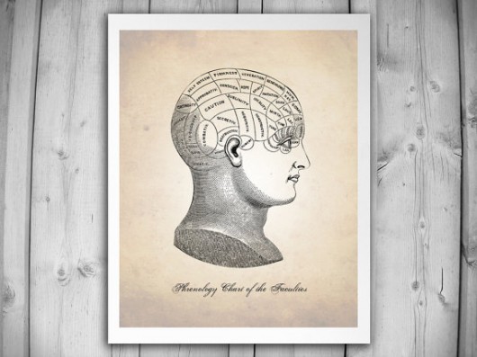 Plakat, grafika, frenologia, mózg nkcraftstudio