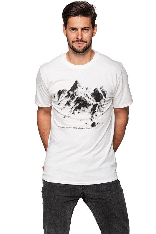 t-shirty męskie T-shirt męski UNDERWORLD Mountains