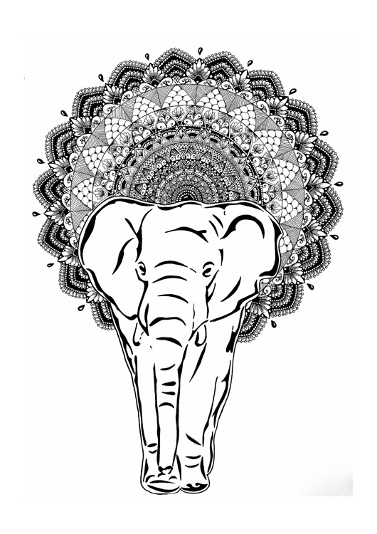 grafiki i ilustracje Mandala nr 23, Słoń, reprodukcje