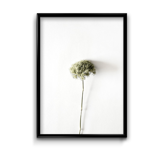 plakaty Plakat Floral No.10 