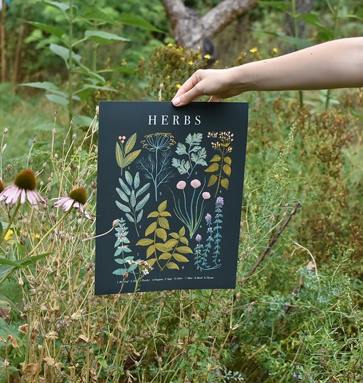 Plakat botaniczny "Herbs" 30x40 Studio Stonka
