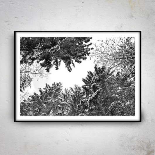 Forrest II 50x70 mucca by mua