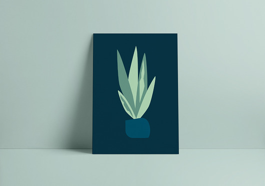 Plakat Floyo Sansewieria floyo