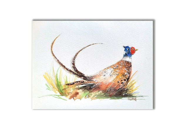 grafiki i ilustracje Akwarela ręcznie malowana  "Bażant"