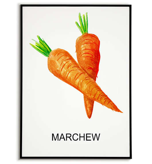 plakaty Plakat  GRAFIKA MARCHEWKA warzywa ZIOŁA
