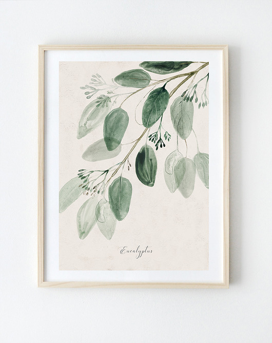 grafiki i ilustracje Eukaliptus  A3