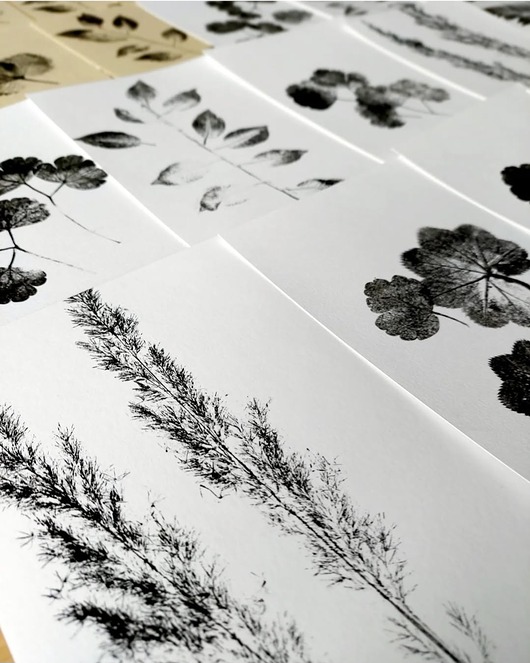grafiki i ilustracje Grafika plakat print roślinny 6 sztuk