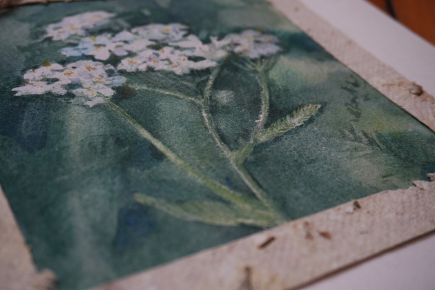 kartki scrapbooking Kartka okolicznościowa - krwawnik. Akwarela i papier czerpany.