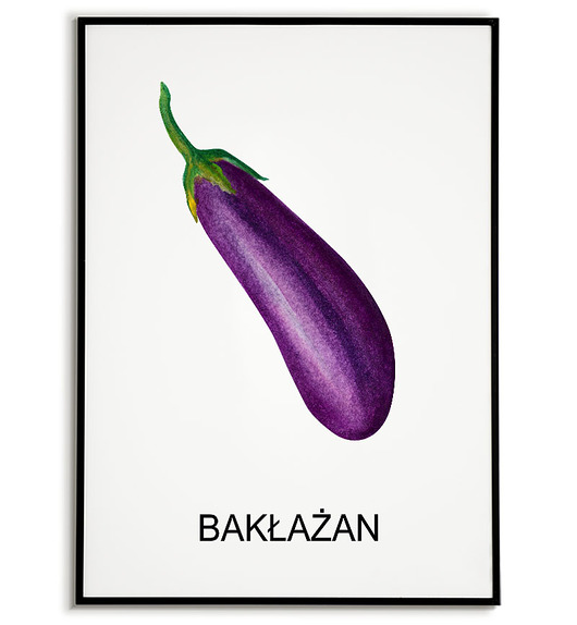 plakaty Plakat  GRAFIKA BAKŁAŻAN warzywa obraz ZIOŁA