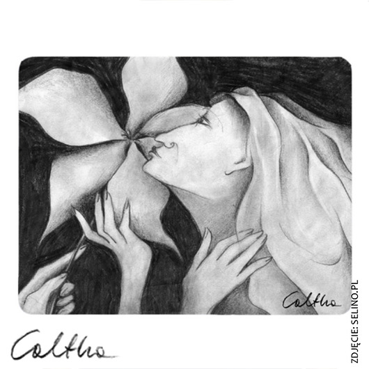 zzz Caltha