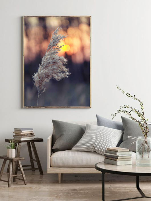 PLAKAT trawa pampasowa beżowy natura black dot studio